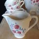 Badonviller half porcelain coffee or tea service
