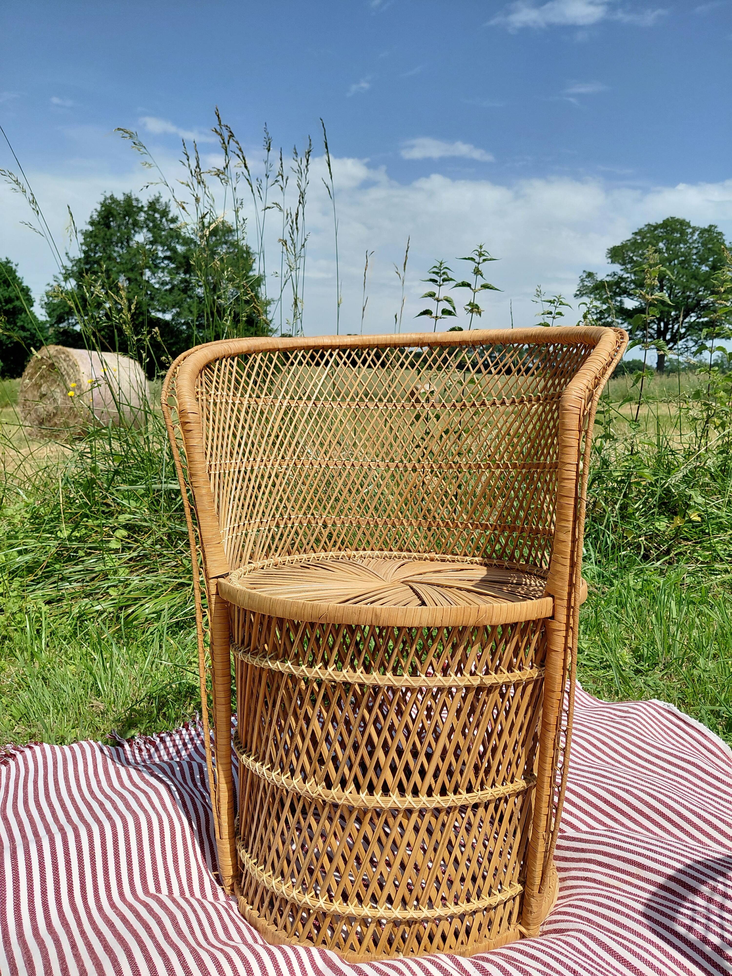 Vintage garden furniture in wicker rattan 1960 - complete 4-piece set