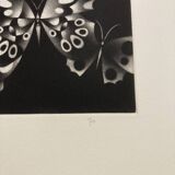 Mario avati (1921-2009), butterflies, black manner, 1970