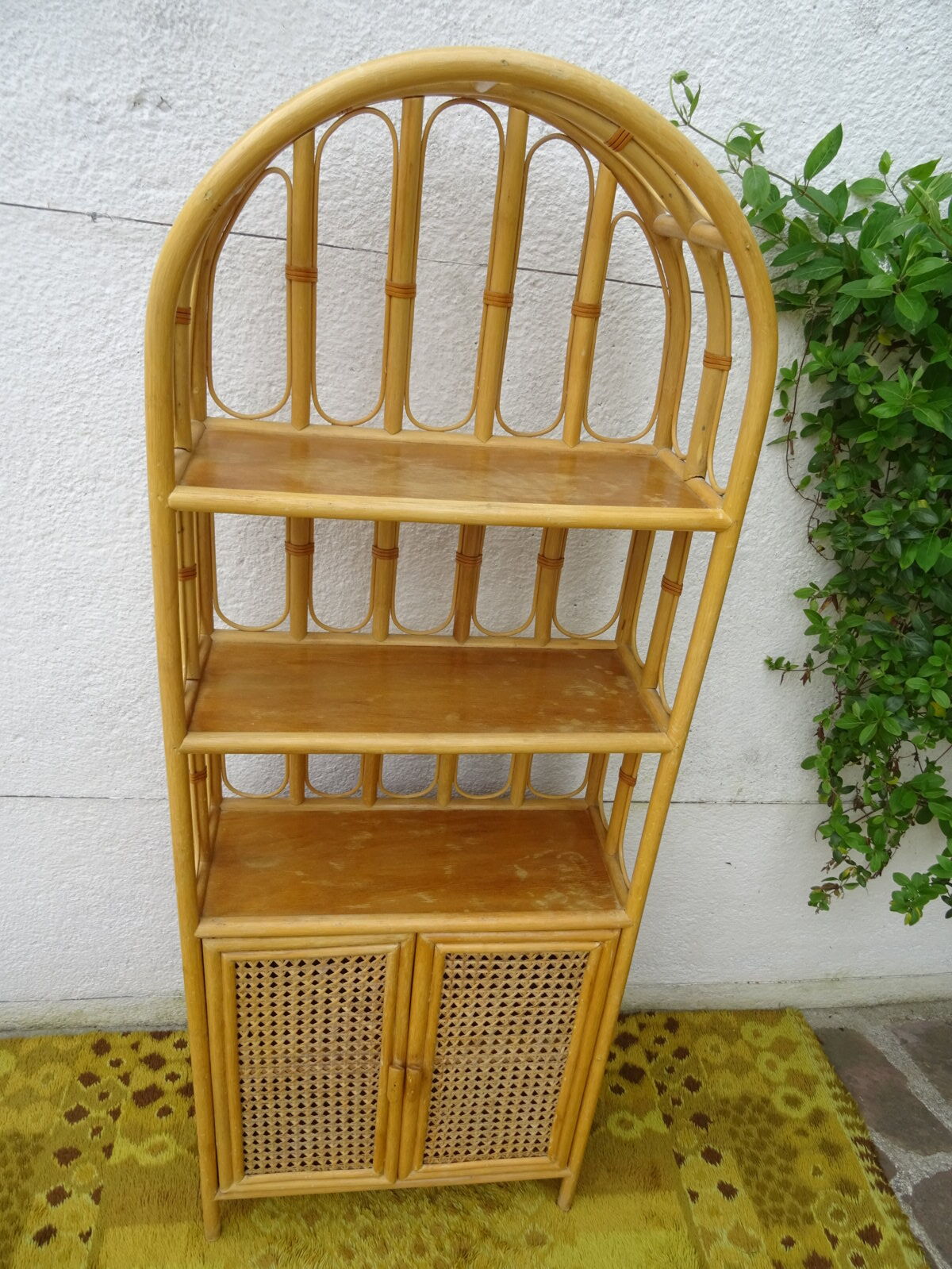 Canning rattan
