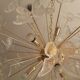 Transparent butterfly murano glass sputnik oval chandelier