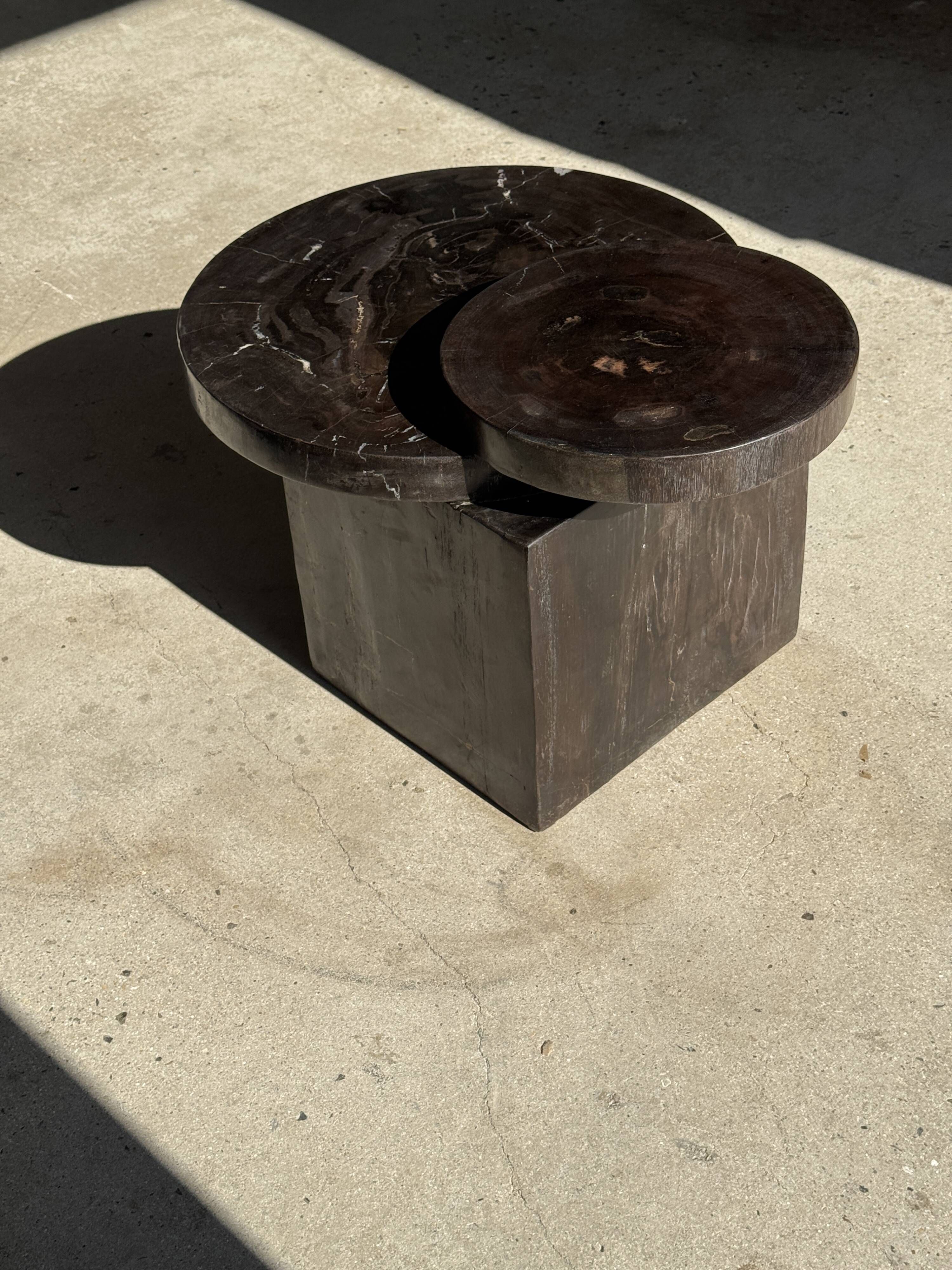 Brown petrified wood coffee table from Indonesia with a double circular top.