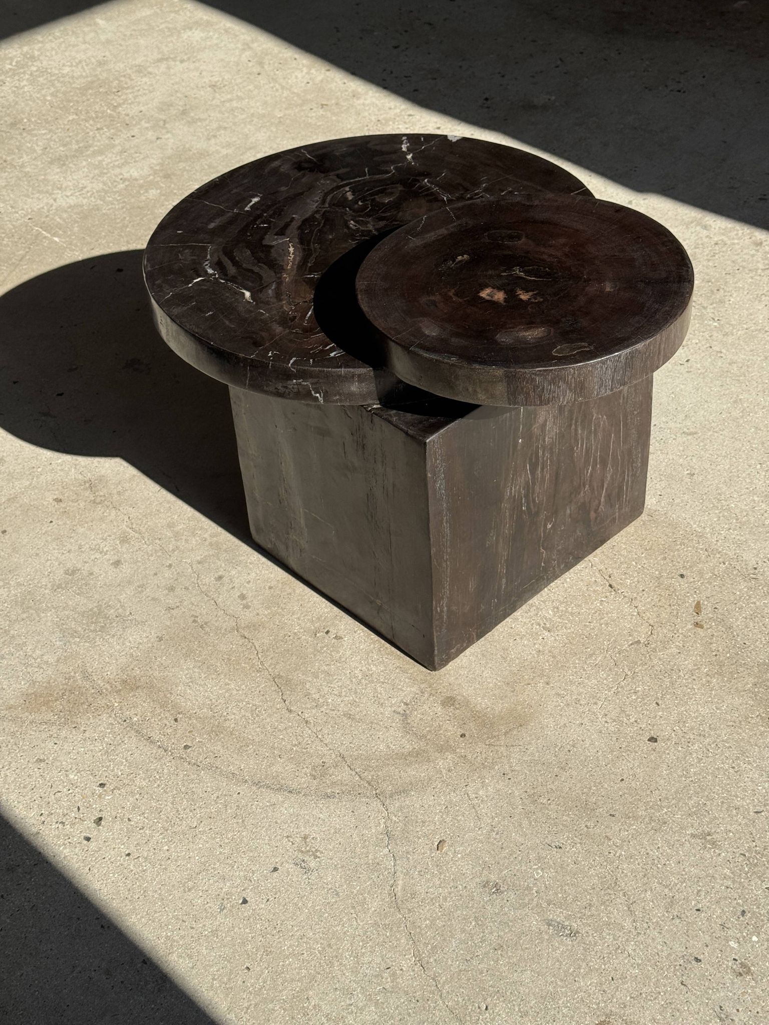 Brown petrified wood coffee table from Indonesia with a double circular top.