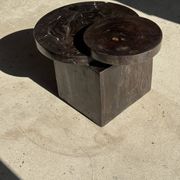 Brown petrified wood coffee table from Indonesia with a double circular top.