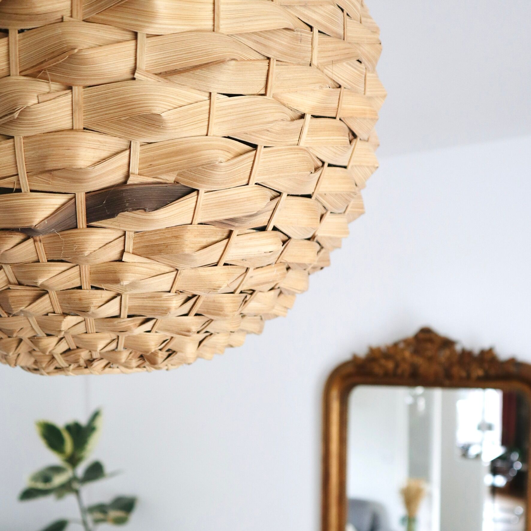 Braided palm ball suspension