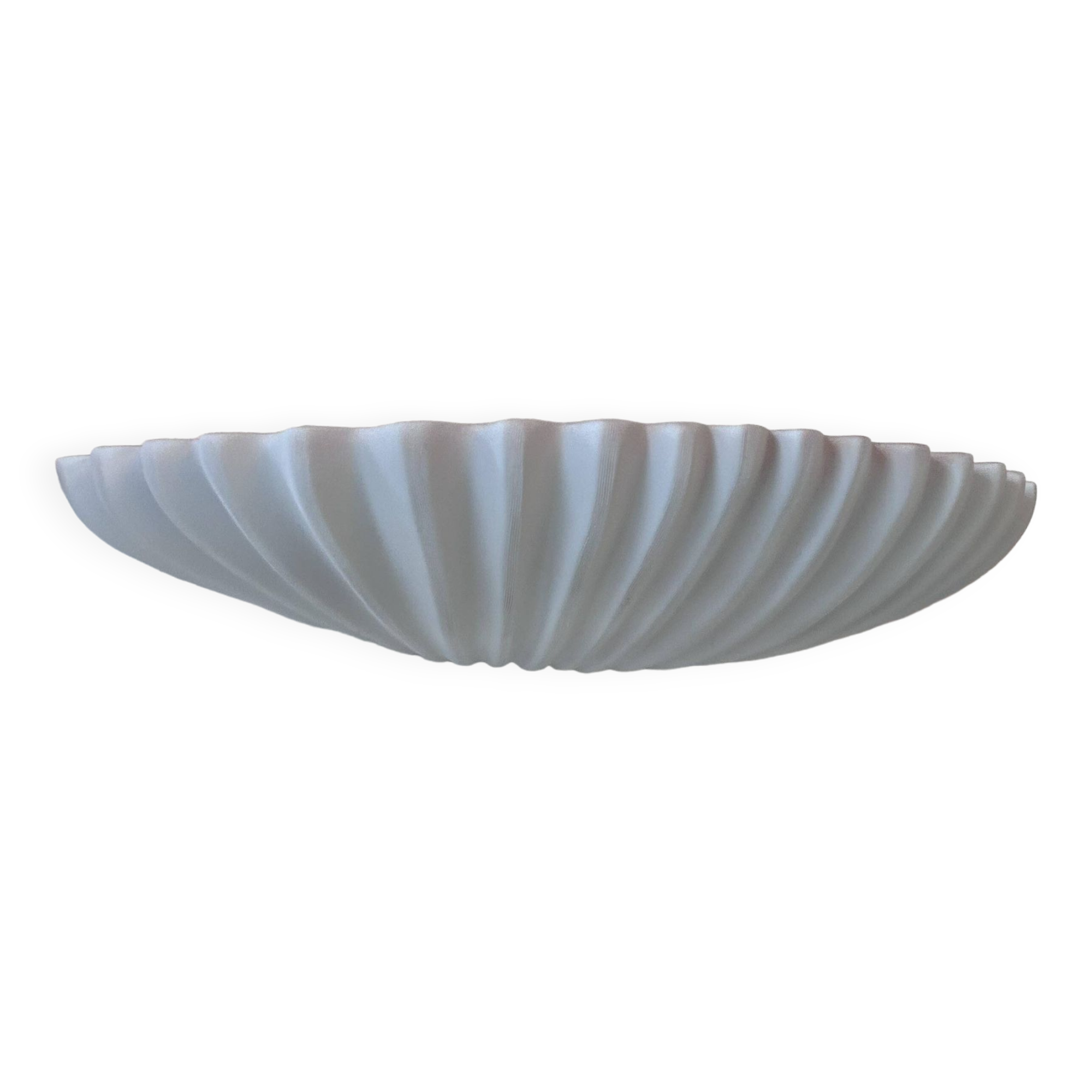 Pair of vintage shell wall lights, matte white, France 1970