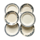 6 flat plates Terre de Fer mismatched