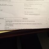 Medici in reconstituted stone Grandon