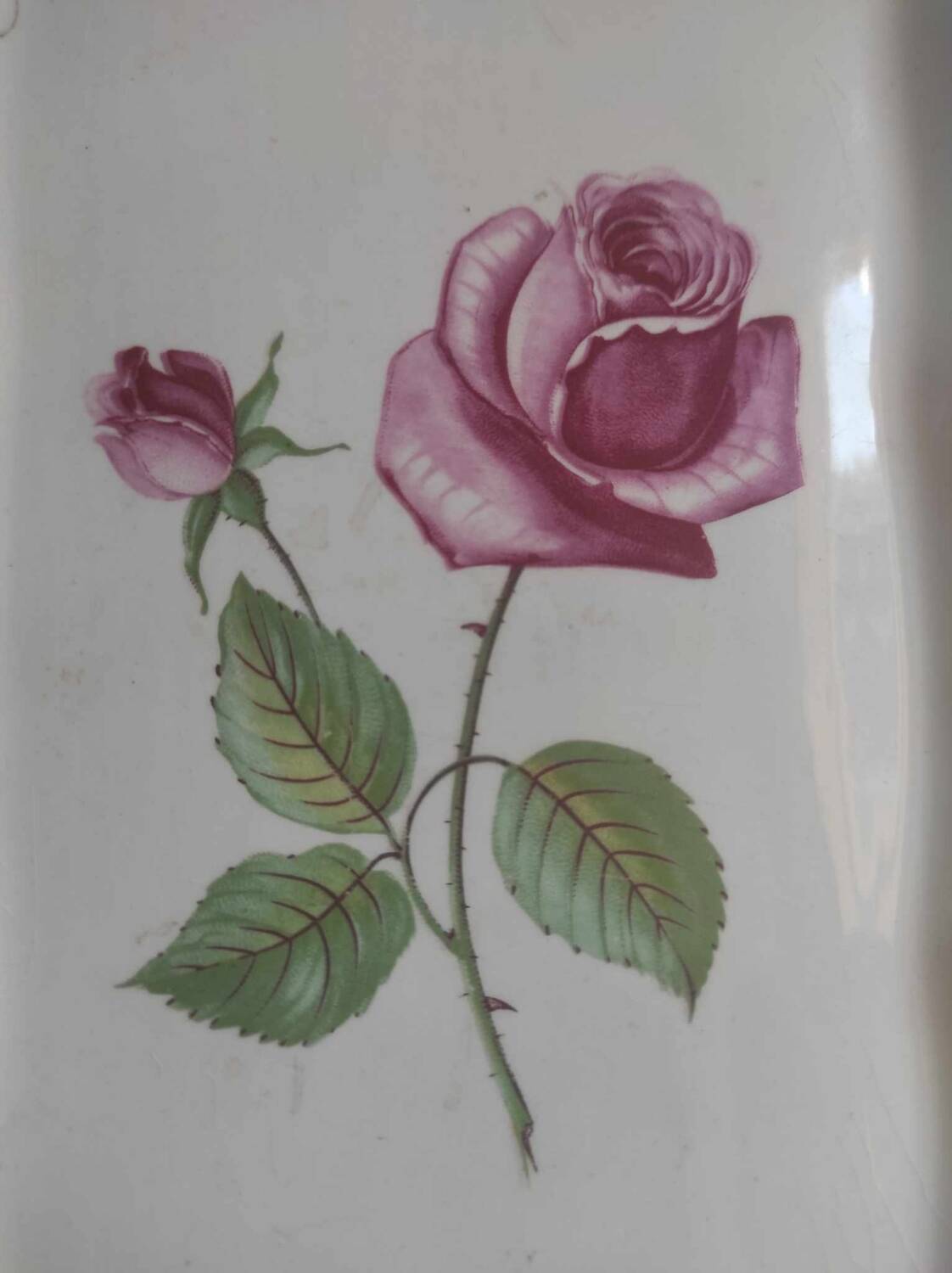 Cake dish signed Sarreguemines