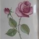 Plat a cake signé Sarreguemines