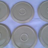 6 honey sandstone plates speckled