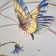 Large Serving Dish for Appetisers Sarreguemines Butterfly Decor