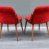 Pair of 1960s chairs in sheepskin and varnished wood