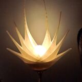 Shell lamp by Roger Rougier - 1970