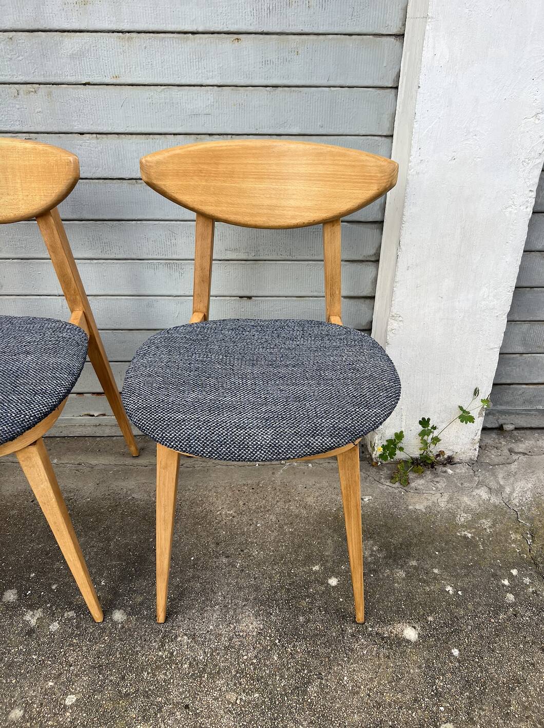 (Lot) 4 chaises Baumann Fontania (restaurées) 1960