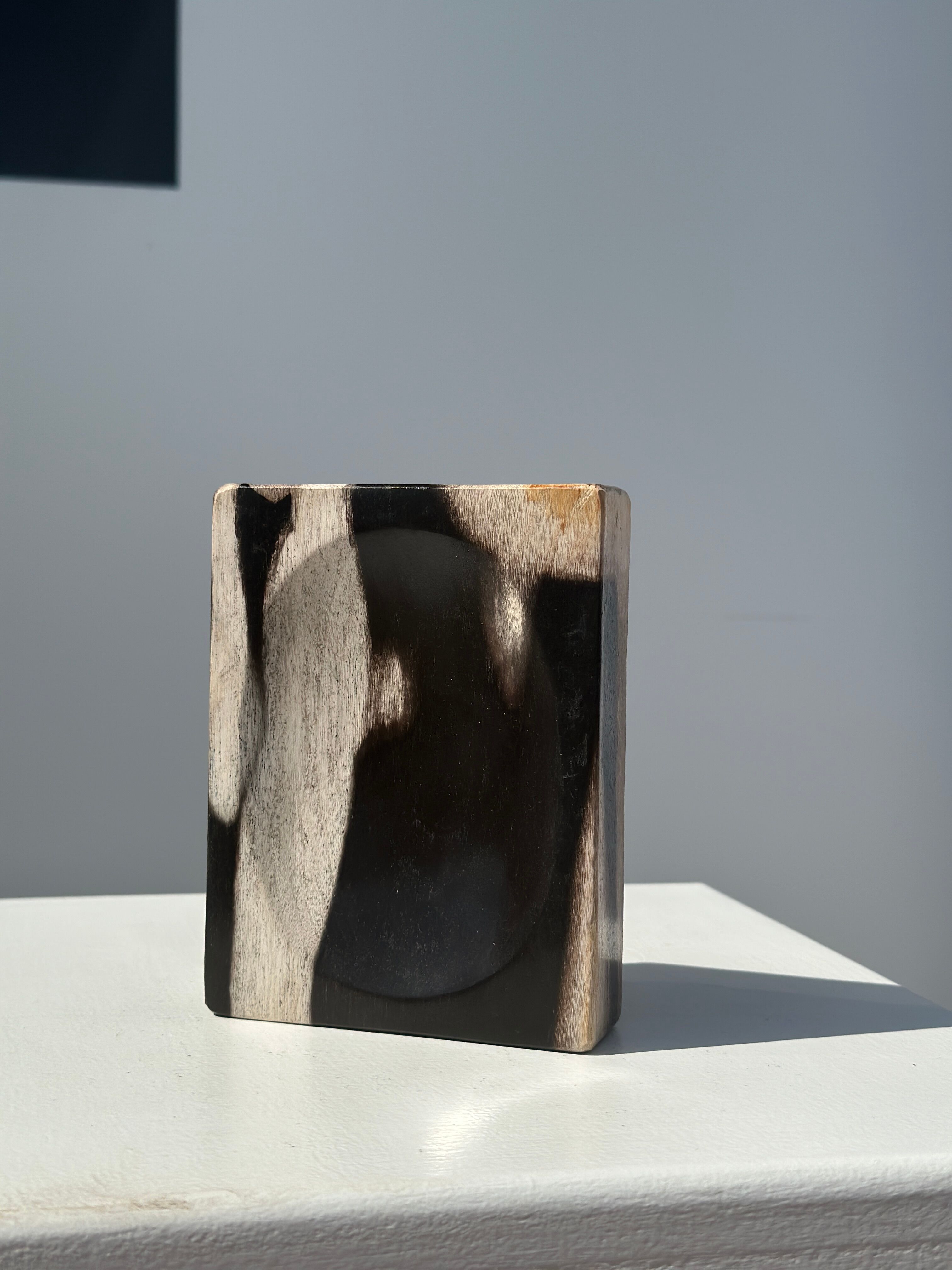 Symmetrical multicolored petrified wood soap dish