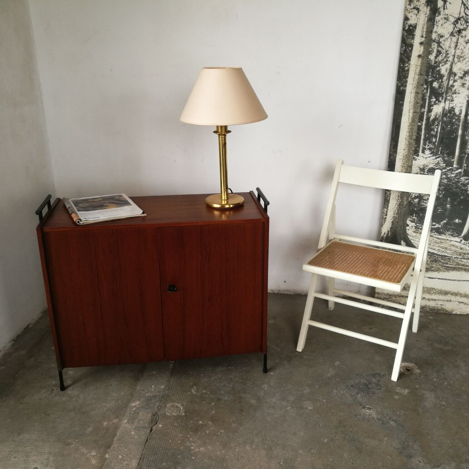 Scandinavian sideboard 2 teak doors, ladder base