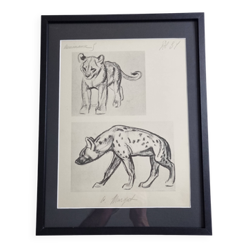 Illustrated plate, Studies of a lion cub and a hyena, Signed A. Margat, 1930