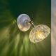 Vintage glass cut lampshade - tableware collection (APPV01)