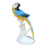 Parrot