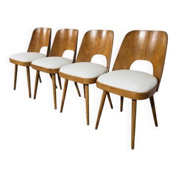 Chaises de salle à manger d'Oswald Haerdtl, années 1950