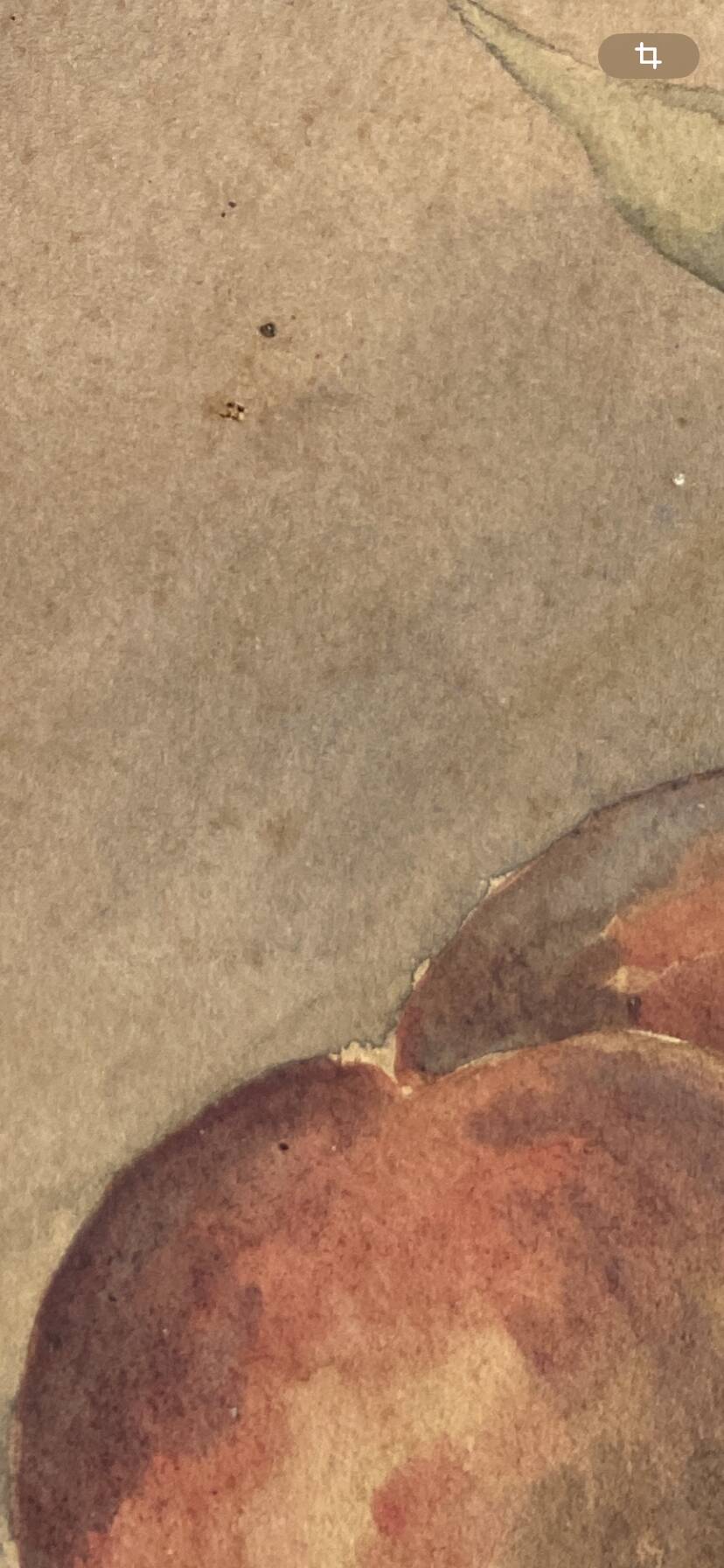 Pastel 1900, still life and glass frame