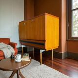 Vintage bar cabinet / mid-height cabinet