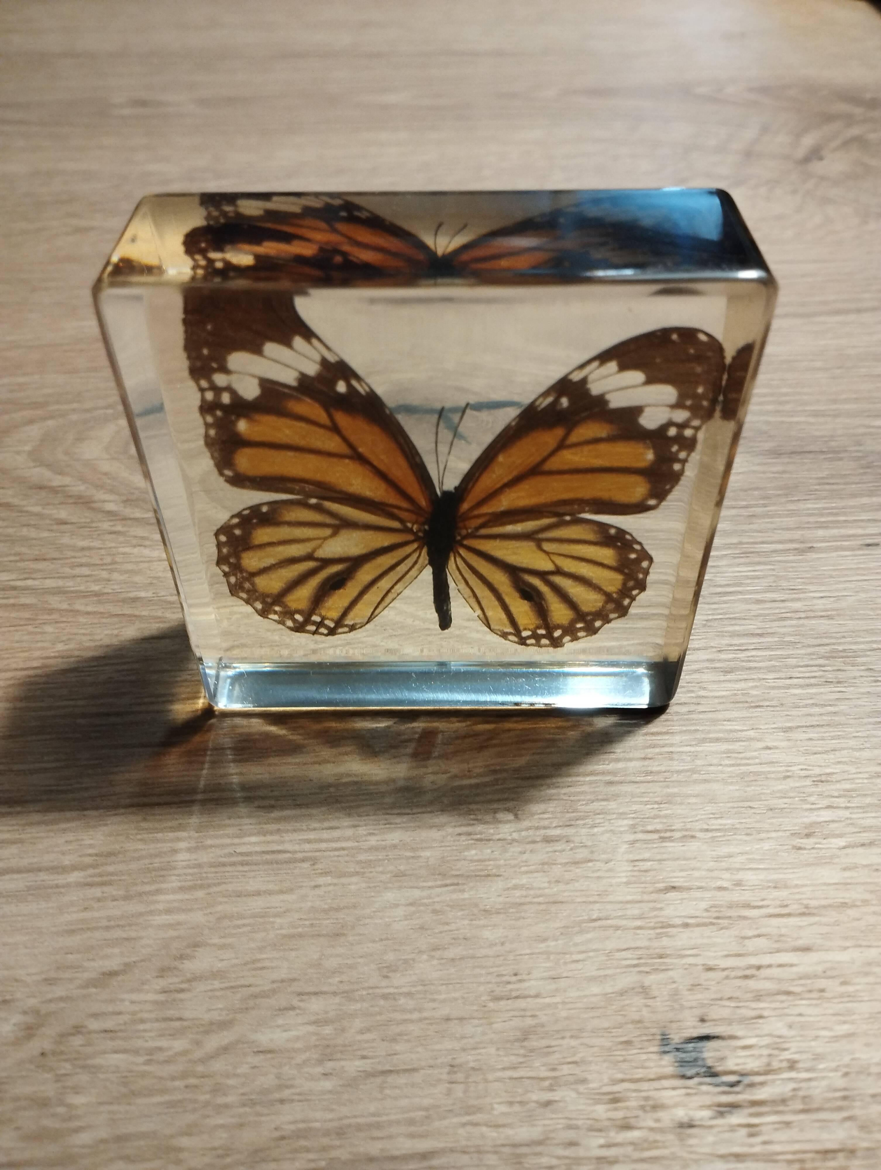 Bloc résine papillon