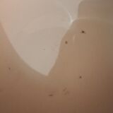 Longchamps Odette ceramic basin