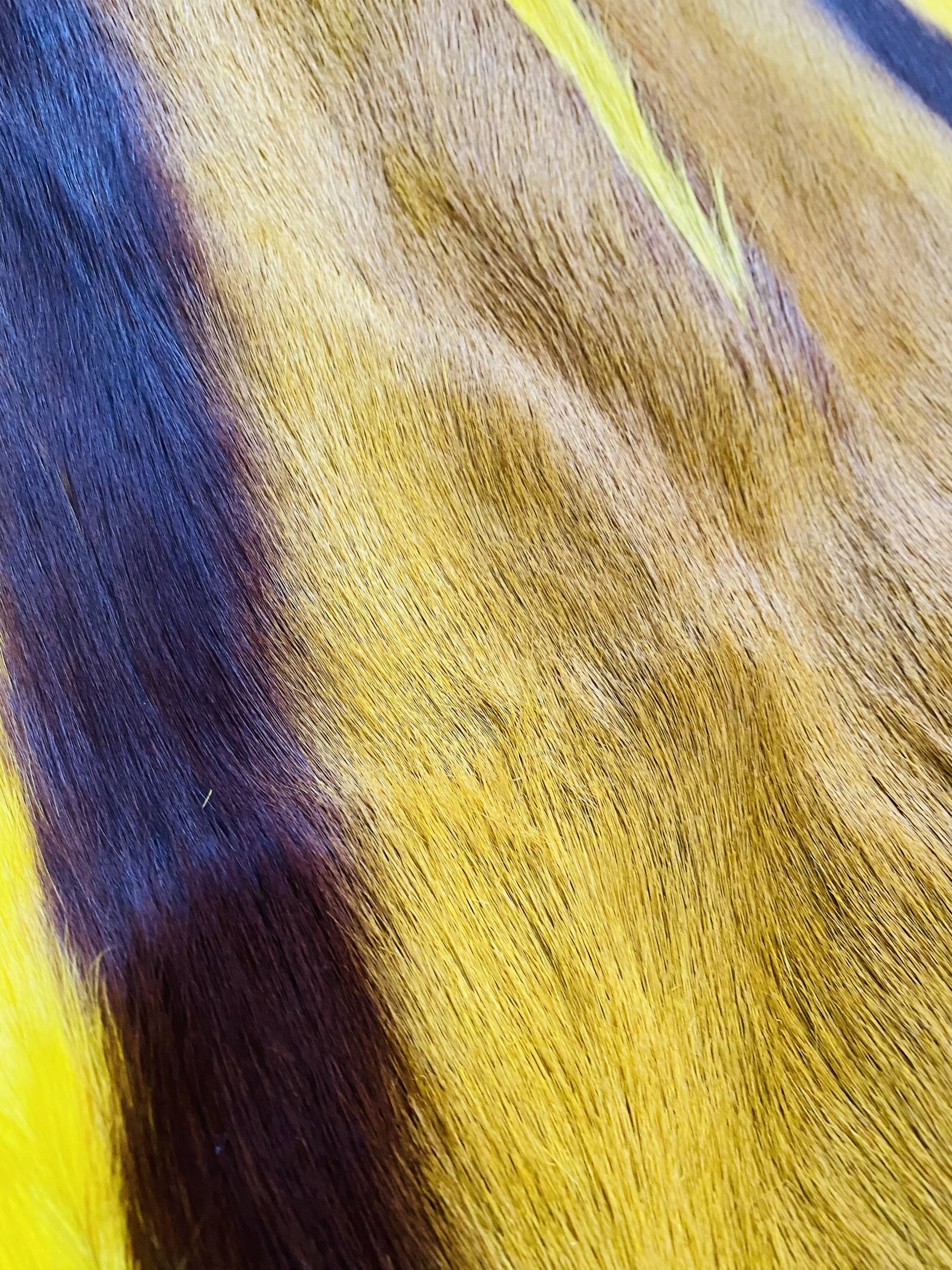 Pretty South African antelope skin bought at auction 66x100cm