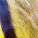 Pretty South African antelope skin bought at auction 66x100cm