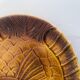Set of 2 Sarreguemines earthenware dishes with fish decoration