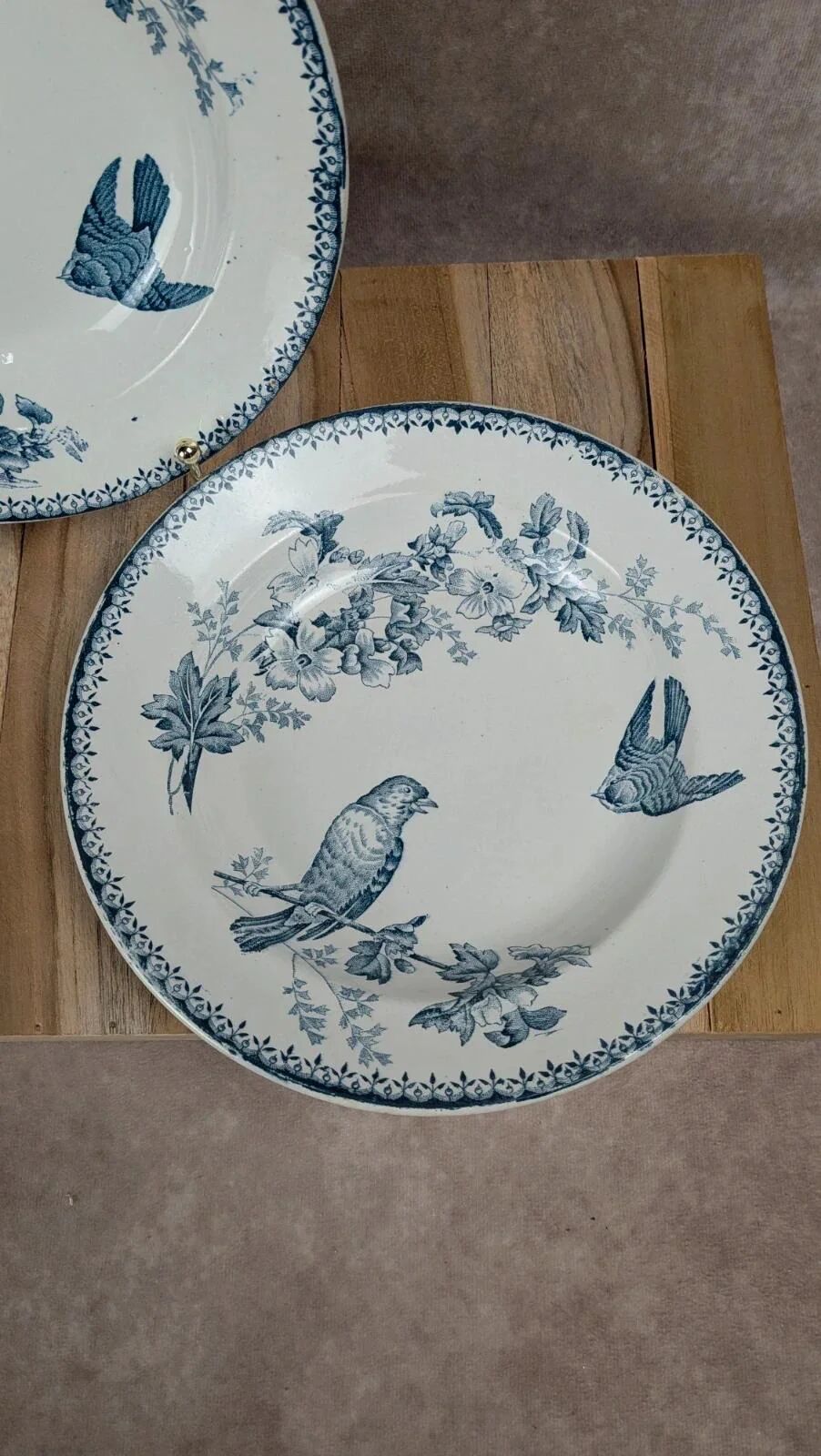 Set of 2 deep plates Longwy – Mésange model