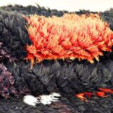 Vintage Moroccan Berber Boucherouite rug 205 x 87 cm (Perfect condition)