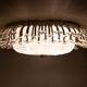 Floral Mid-Century Modern Flush Lamp Emil Stejnar 1960s Austria