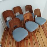 Mid-Century Set of dining 6 chairs Tatra O.Haerdtl, 60s Czechoslovakia