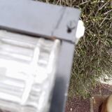Hoso wall light