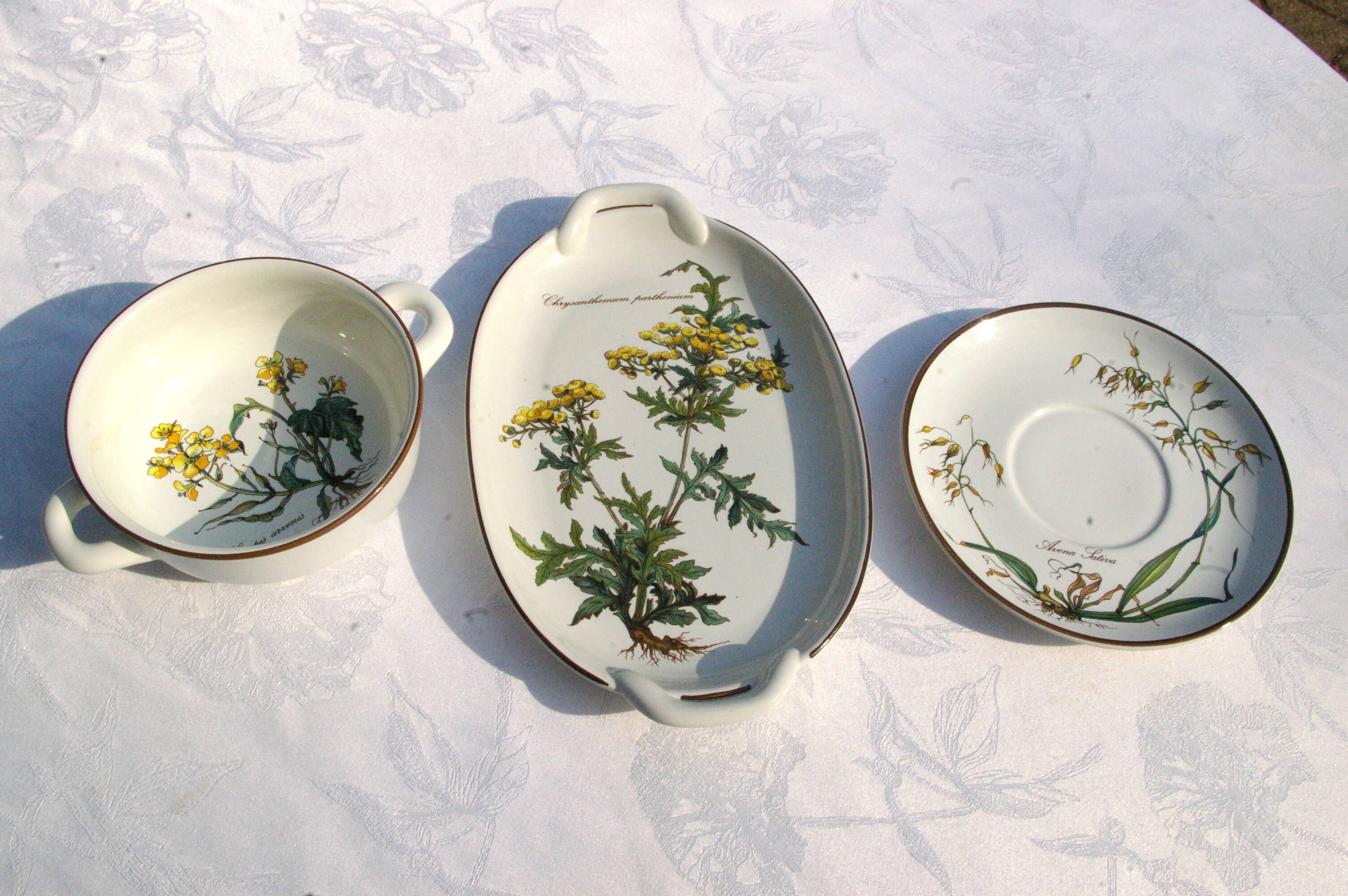 Small Batch of dishes and saucer Villeroy & Boch model Botanica
