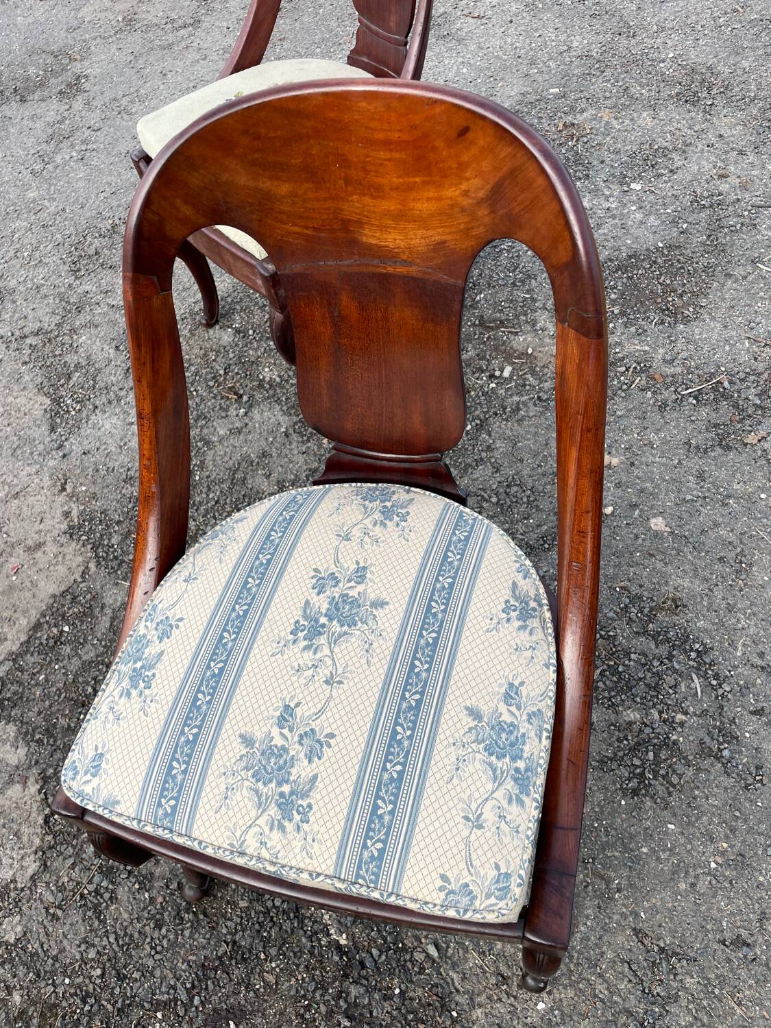 4 Napoleon III chairs