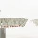 Set of 'ice glass' wall lamps by Peill & Putzler