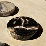 Set of 4 fossilized wooden coasters