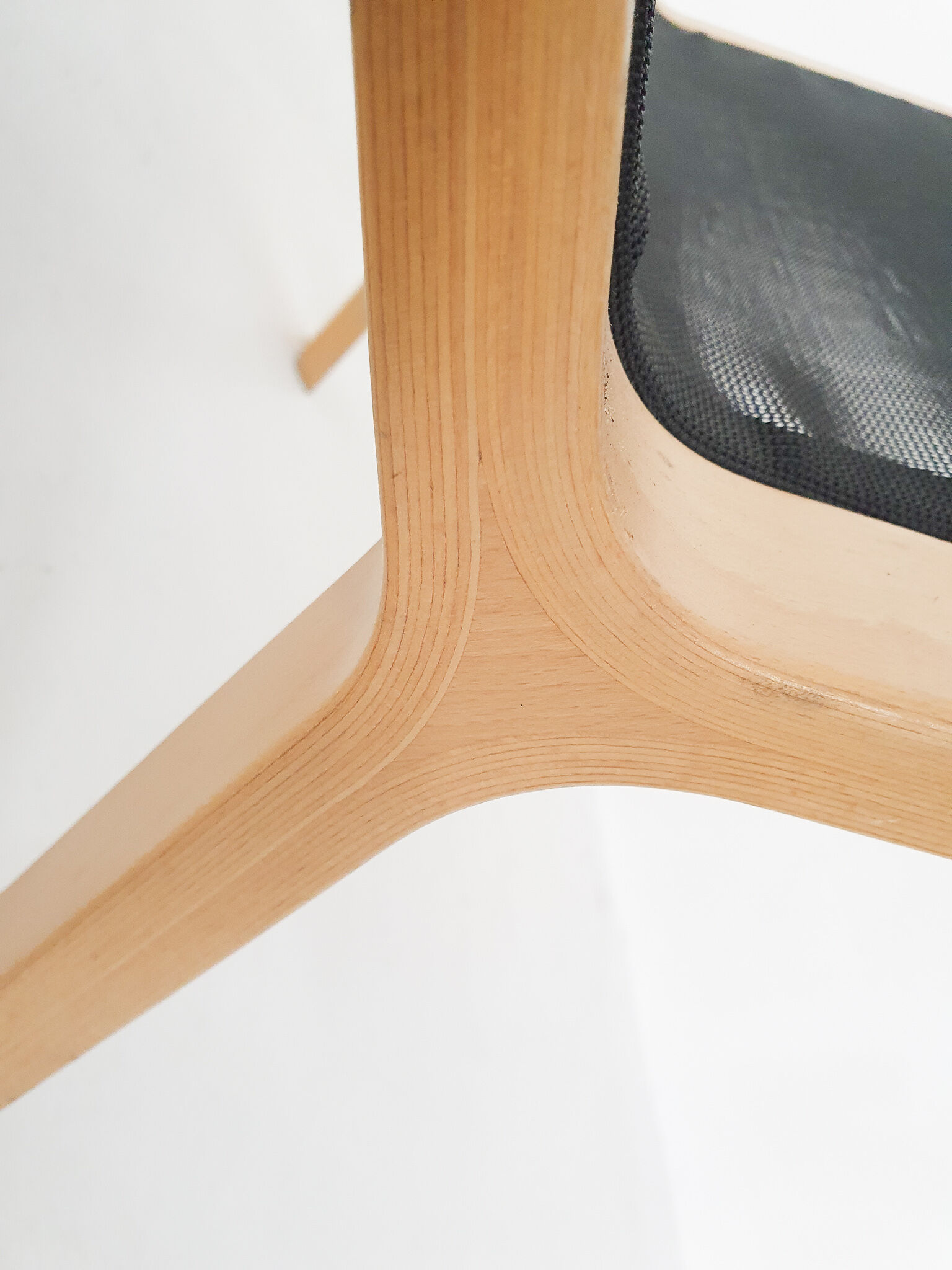 Lamintated beech and gauze design lounge chair