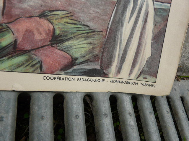 Affiche scolaire éditions rossignol N° 43 et 44 la rizière et l'oasis