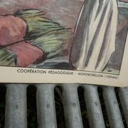 School poster editions nightingale N° 43 and 44 the rice field and the oasis