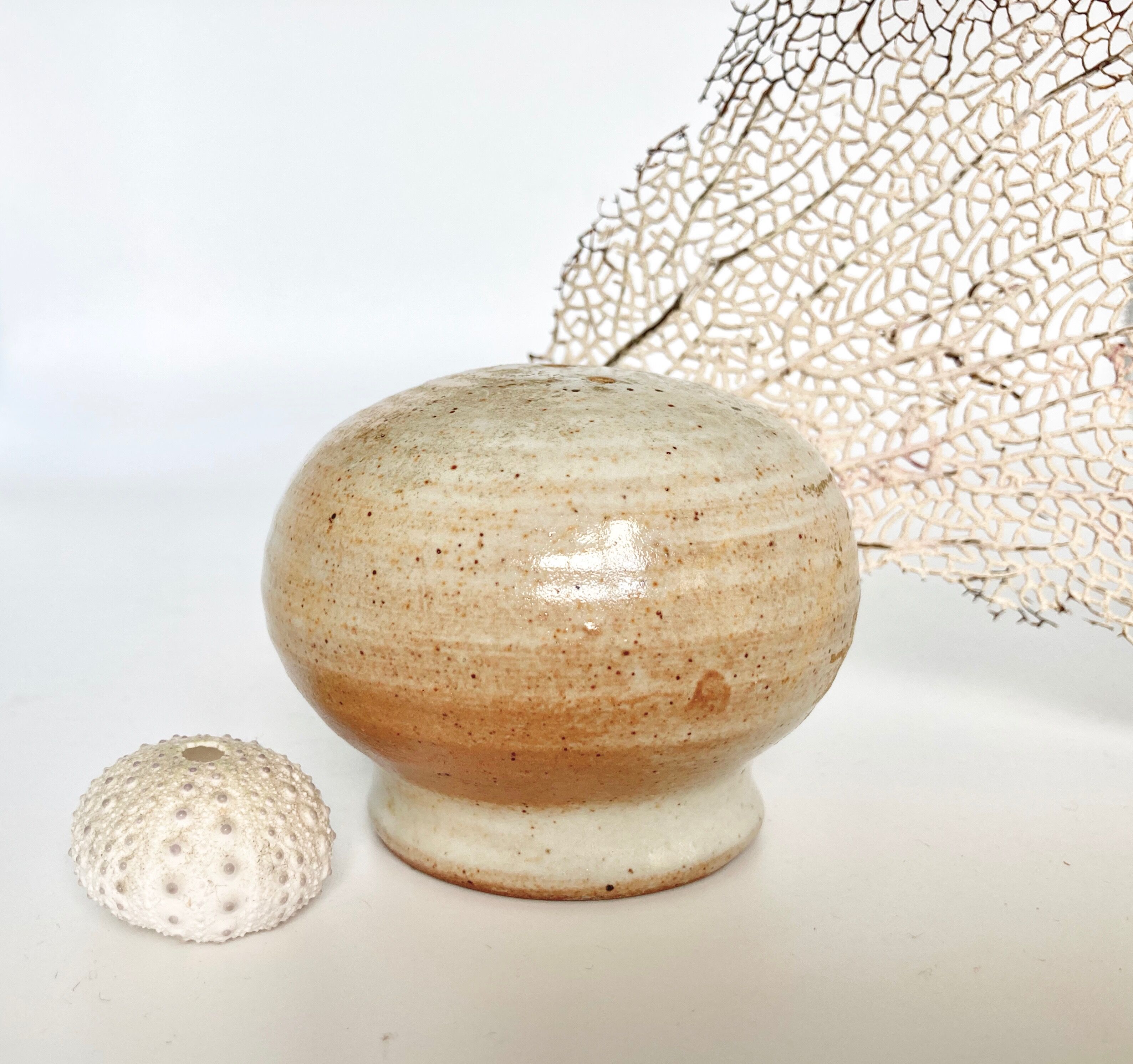 Salt shaker Sandstone of the Marsh