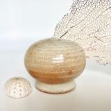 Salt shaker Sandstone of the Marsh