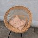 Rattan garden furniture