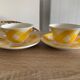 Lot 2 vintage cups digoin france scottish model
