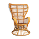 Rattan armchair by Gio Ponti & Lio Carminati Bonacinati edition 1950