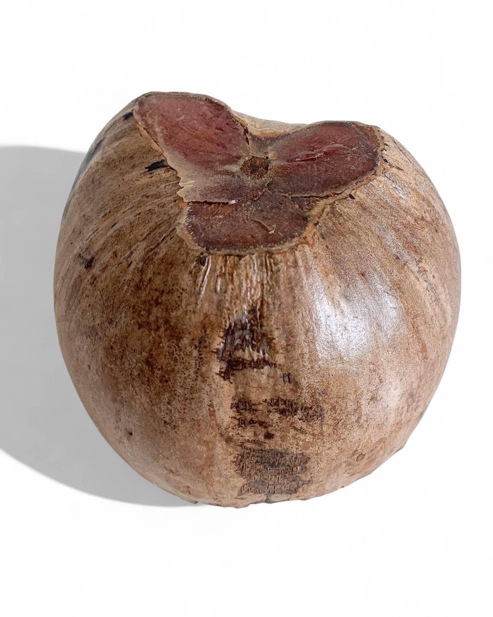 Wabi Sabi Organic Modern Coco de Mer Centerpiece, Hand-Carved, 19th C.